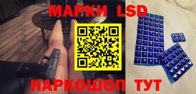 хмурый Кудрово