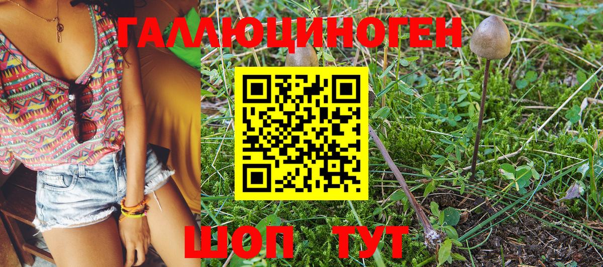 Галлюциногенные грибы Magic Shrooms  Маркс 
