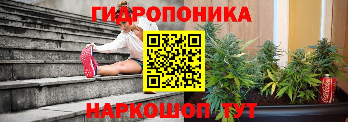 Бошки Шишки сатива Маркс